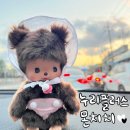 건지로 | 인천 누리프렌즈 누리플러스 카페 대형 인형 매장에서 몬치치 구매한 솔직 후기