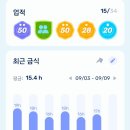 9월 9일 월요일 [7번/10점] 월욜 ^^ 이미지