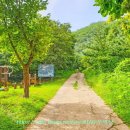 파평체육공원 야구장 이미지