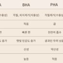 비건바이브