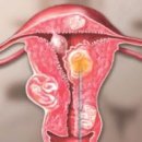 역삼의원 이미지