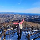 무주김밥나라 | 무주 덕유산 등산코스 향적봉 정상 소요시간 하산 곤도라 후기