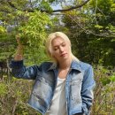 백미라헤어 네이버블로그