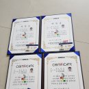 프로텍사옥 이미지