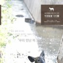 서울시 야생동물 구조센터 이미지