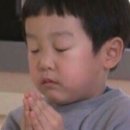 교서상사