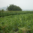 희망찬농장 이미지