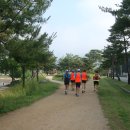 가든안경 이미지