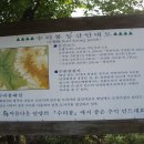 암릉 및 노송 이미지