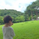 산골 바람 실은 커피차🧋시월이도 한스푼 거들었죠 ❤️+댓글 🙏 이미지