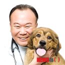 안암동물병원 이미지