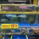 두꺼비회식당 이미지