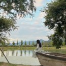 댕댕하동 이미지