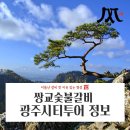 [광주여행] 광주 시티투어 버스에 대해 알아보자