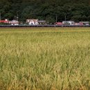 마지2리 이미지