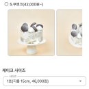 파주 수제케이크 맛집 추천 <제이델링> 후기