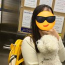 우리유치원 | [공지] 안산애견카페 유치원 입학후기