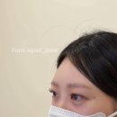삼계 속눈썹 시그널브로우