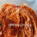 하늘유통 | 태백하늘김치 5kg 내돈내산 솔직후기 (롯데온 상생페이백 온누리상품권 구매)