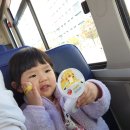 2025년 11월 1일(토) 하린이 버스여행 이미지