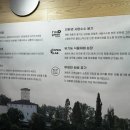 글리터 문헤어
