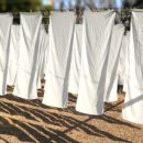 사자옆골 이미지