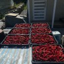 원주굽이길 20코스 다둔길 이미지