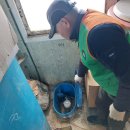 당왕3통경로당 이미지