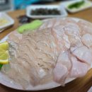 회뜨는 달인 이미지