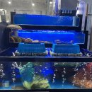 우리동네횟집 이미지