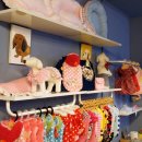 펫더스타일 이미지