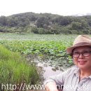 송산2리 이미지