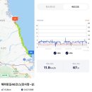 2024.11.18(월), 해파랑길11-42(46코스 장사항-삼포해변) 이미지