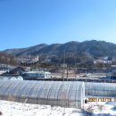 광산초등학교흘리분교장 이미지