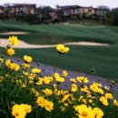 에버리스컨트리클럽 이미지