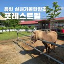 용인 실내가볼만한곳 추천! 아이와 함께 즐긴 포레스트벨 딸기체험농장 후기