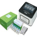 진시스템 이미지