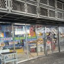 행운회수산 | 내돈내산 가락시장 방어회 맛집 '영재수산' 포장 솔직후기