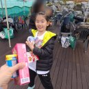 B cube 스포츠센타 | [클라이밍대회] 제33회 회장배 전국청소년 스포츠클라이밍대회