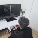 멜리플루어스
