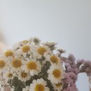 풍광초등학교 이미지