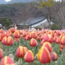 거창사건 추모공원 이미지