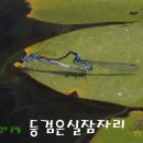 성하이불