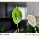 NEW PC CLUB 이미지