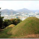 신기리 고분군 이미지