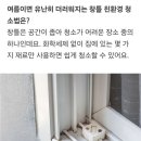 친환경청소 이미지