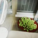 은저울 이미지