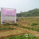 신길농장 네이버블로그