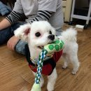 연세로뎀정신건강의학과의원 이미지