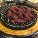 신마포갈매기 이미지